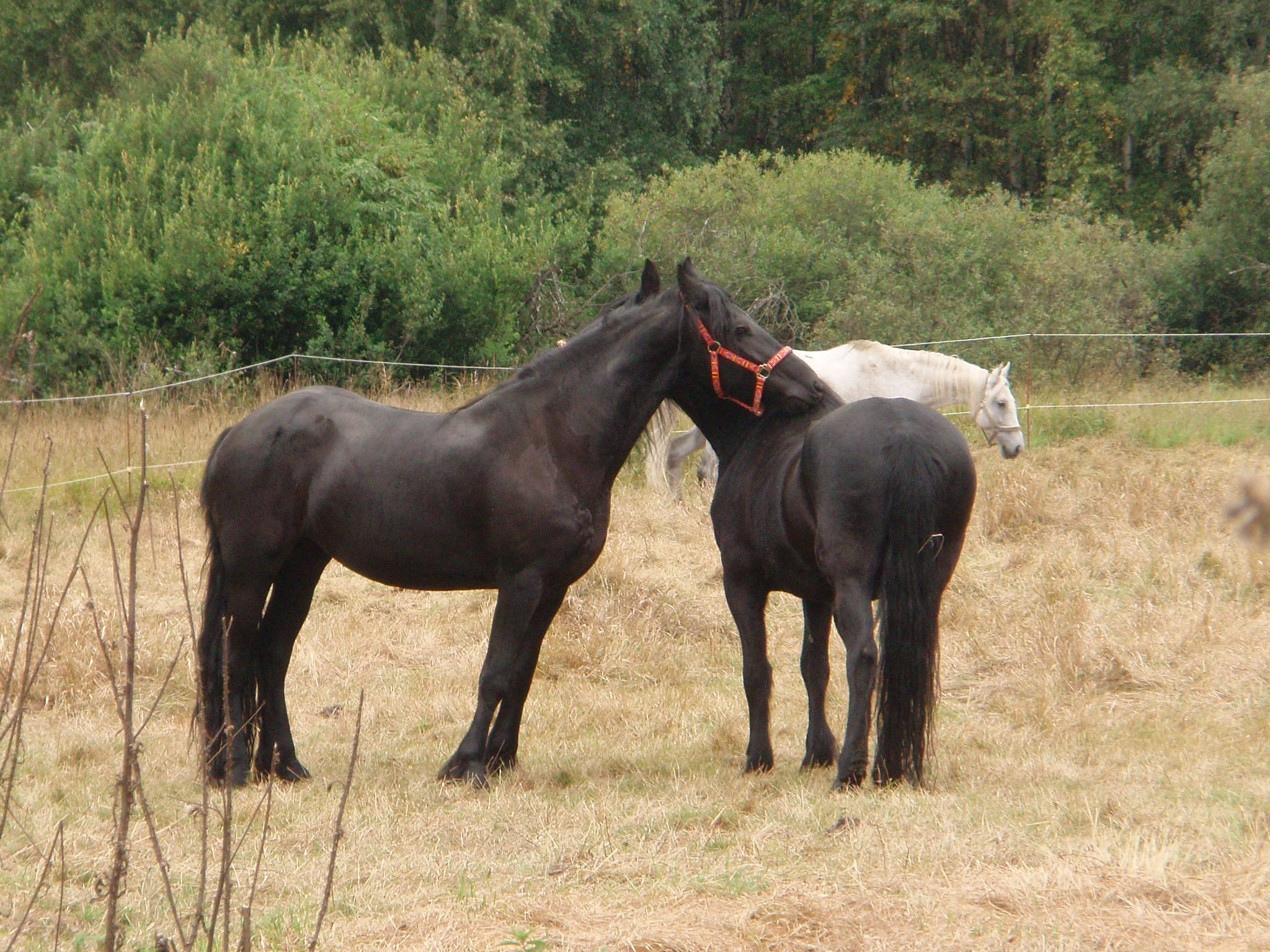 Snímek 020